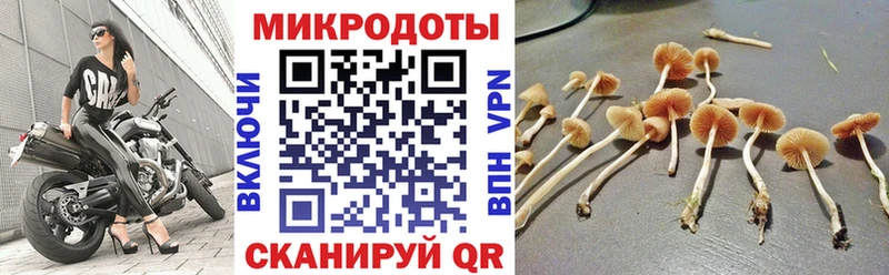 Галлюциногенные грибы MAGIC MUSHROOMS  Липецк 